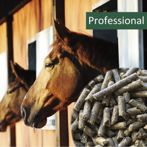 Horsepro Professional