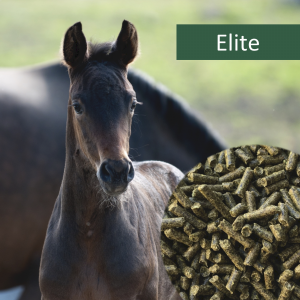 HorsePro Elite