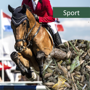 HorsePro Sport